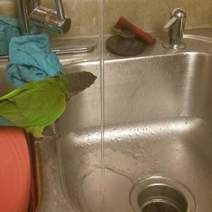 Meet your Posher, Melanie